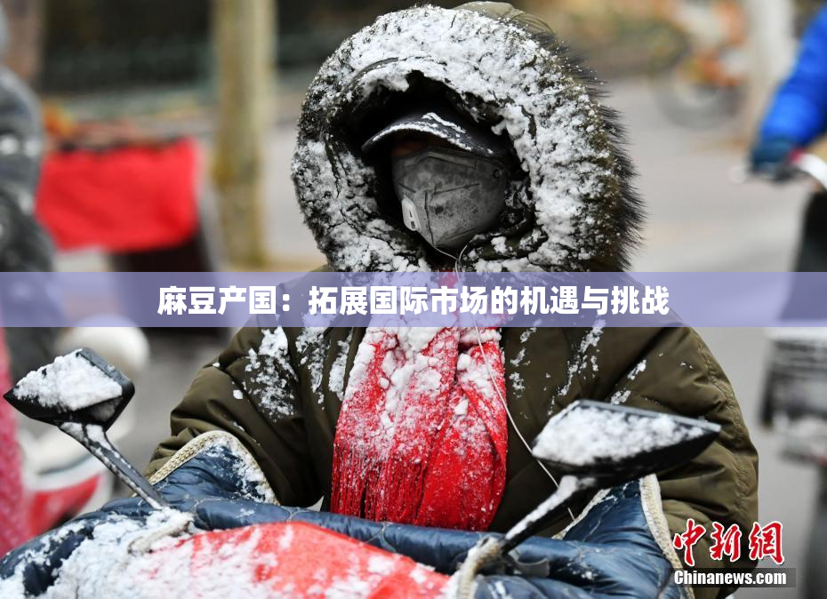 麻豆产国：拓展国际市场的机遇与挑战
