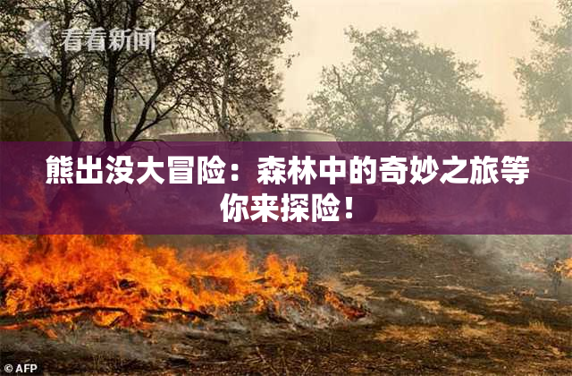 熊出没大冒险：森林中的奇妙之旅等你来探险！