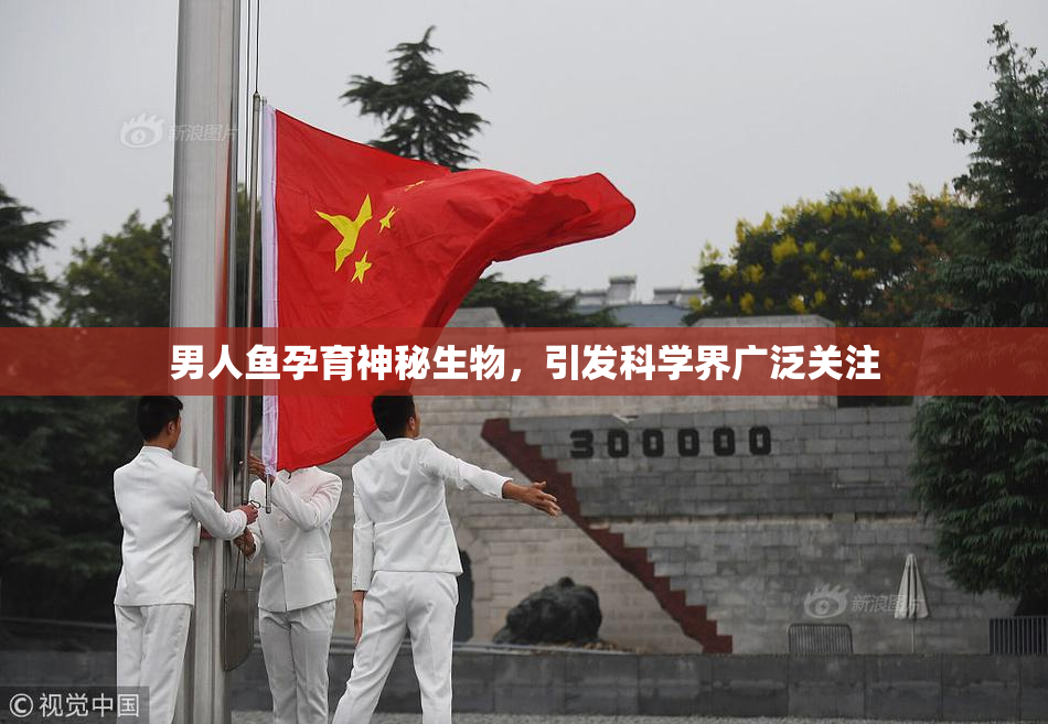 男人鱼孕育神秘生物，引发科学界广泛关注