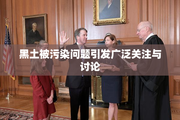 黑土被污染问题引发广泛关注与讨论