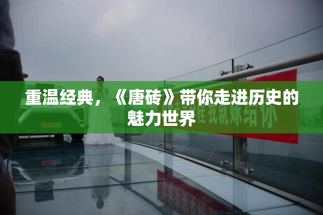 重温经典，《唐砖》带你走进历史的魅力世界
