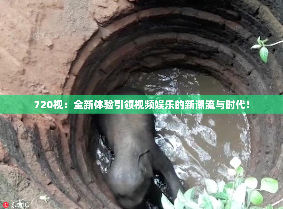 720视：全新体验引领视频娱乐的新潮流与时代！