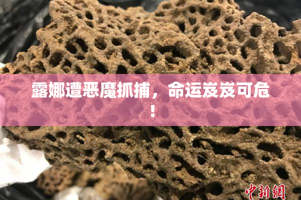 露娜遭恶魔抓捕，命运岌岌可危！