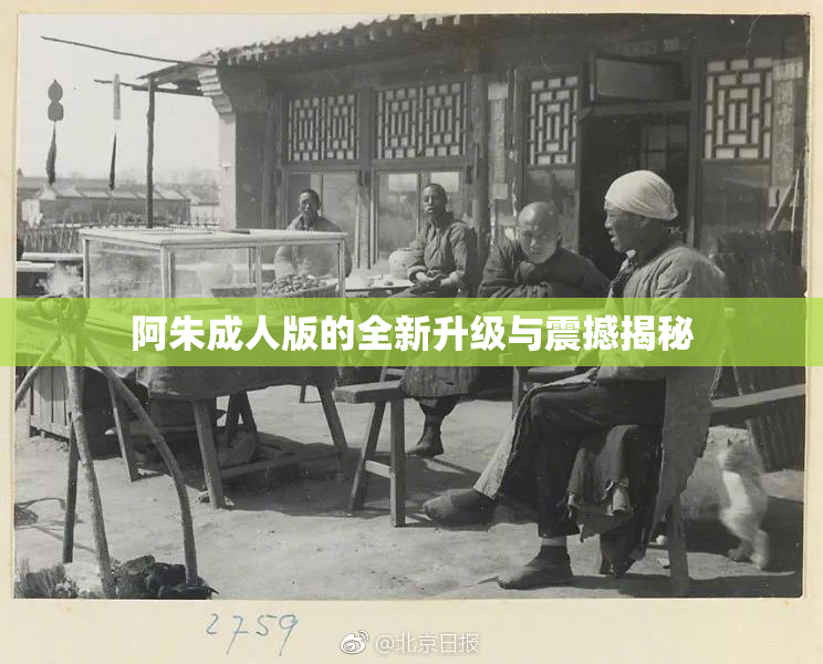 阿朱成人版的全新升级与震撼揭秘