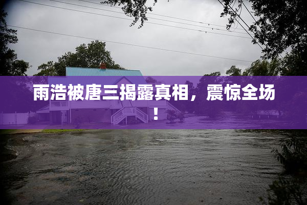 雨浩被唐三揭露真相，震惊全场！