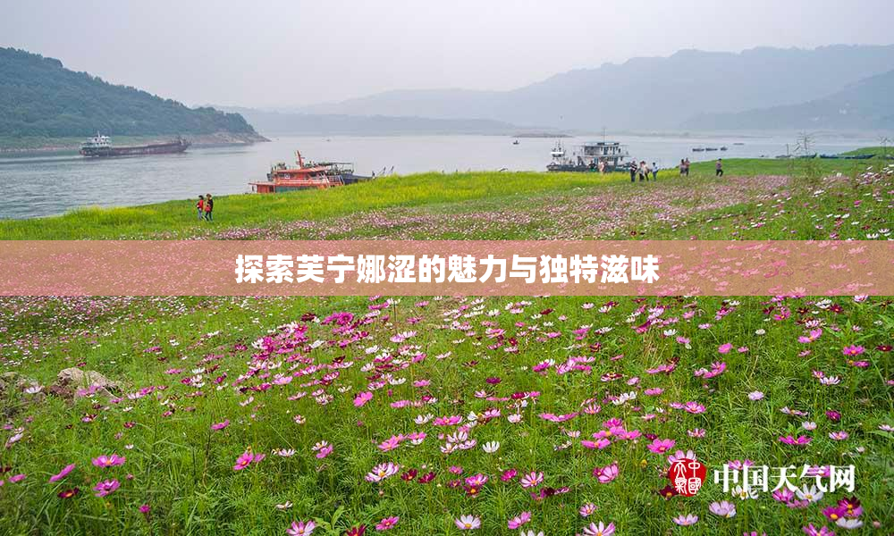 探索芙宁娜涩的魅力与独特滋味
