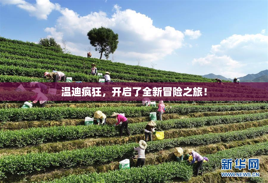 温迪疯狂，开启了全新冒险之旅！