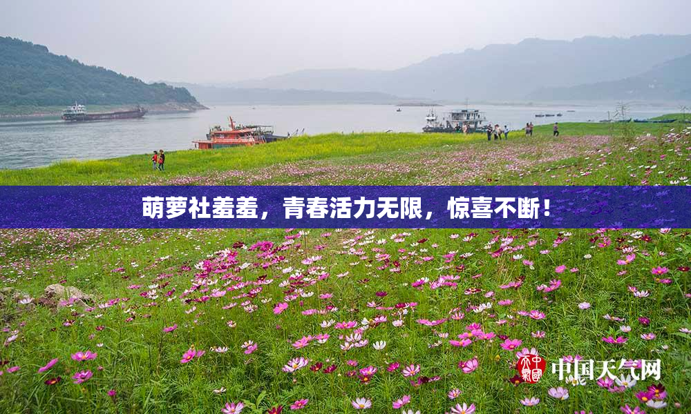 萌萝社羞羞，青春活力无限，惊喜不断！