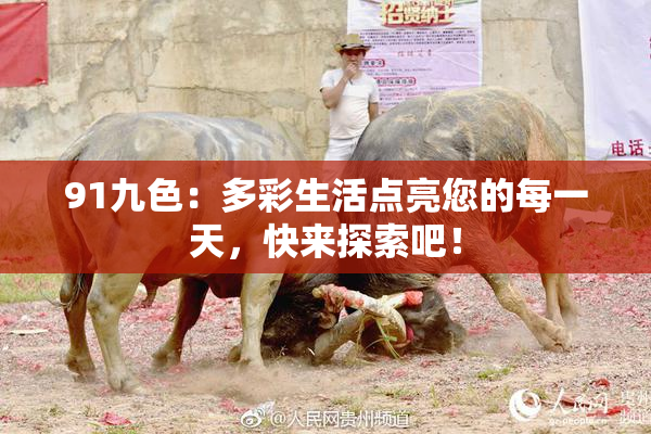 91九色：多彩生活点亮您的每一天，快来探索吧！