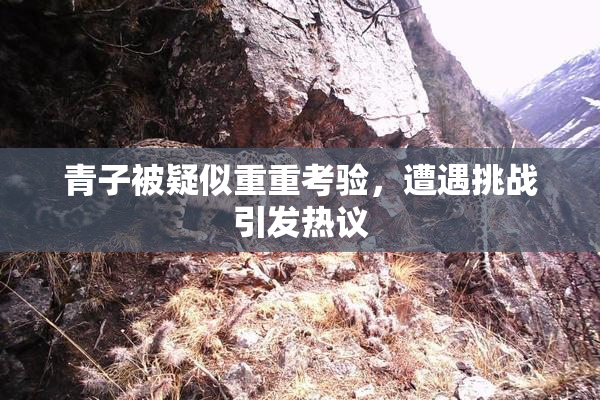 青子被疑似重重考验，遭遇挑战引发热议