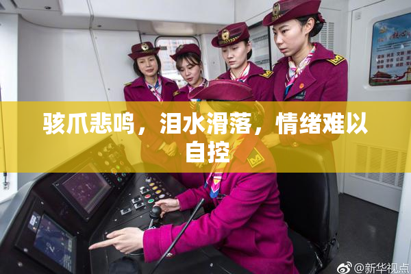 骇爪悲鸣，泪水滑落，情绪难以自控