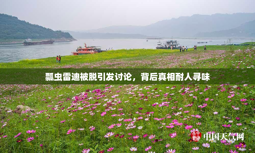 瓢虫雷迪被脱引发讨论，背后真相耐人寻味