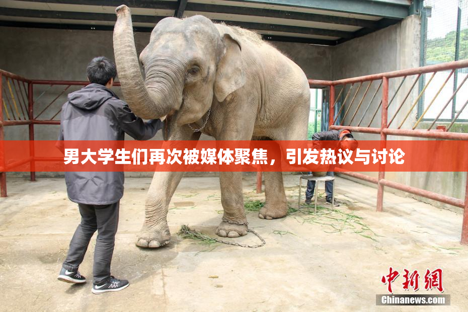男大学生们再次被媒体聚焦，引发热议与讨论