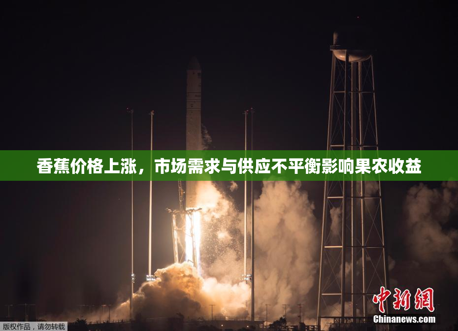香蕉价格上涨，市场需求与供应不平衡影响果农收益