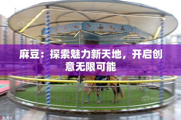 麻豆：探索魅力新天地，开启创意无限可能