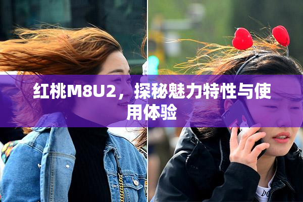 红桃M8U2，探秘魅力特性与使用体验