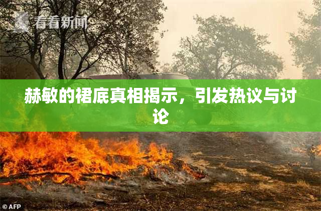 赫敏的裙底真相揭示，引发热议与讨论