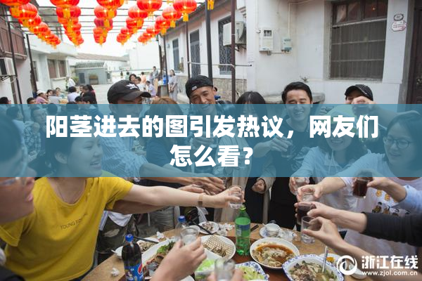 阳茎进去的图引发热议，网友们怎么看？
