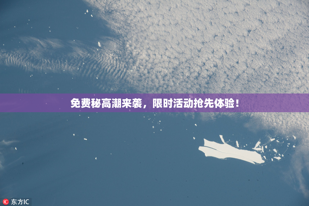 免费秘高潮来袭，限时活动抢先体验！