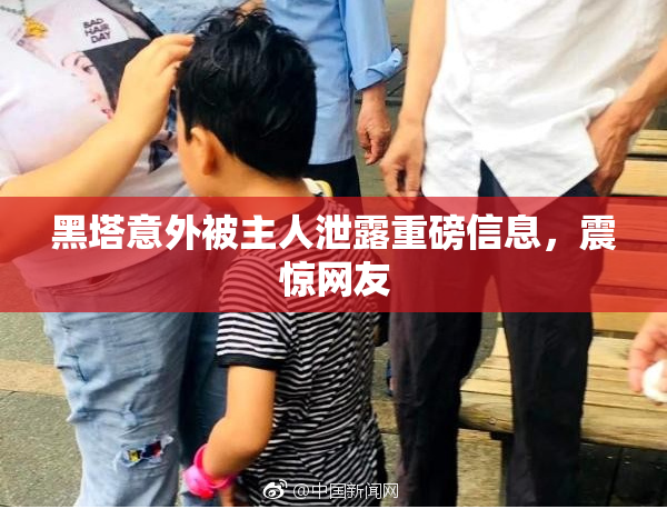 黑塔意外被主人泄露重磅信息，震惊网友