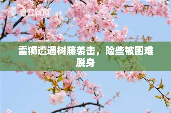 雷狮遭遇树藤袭击，险些被困难脱身