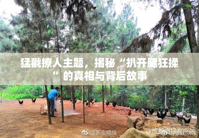 猛戳撩人主题，揭秘“扒开腿狂揉”的真相与背后故事