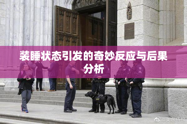 装睡状态引发的奇妙反应与后果分析