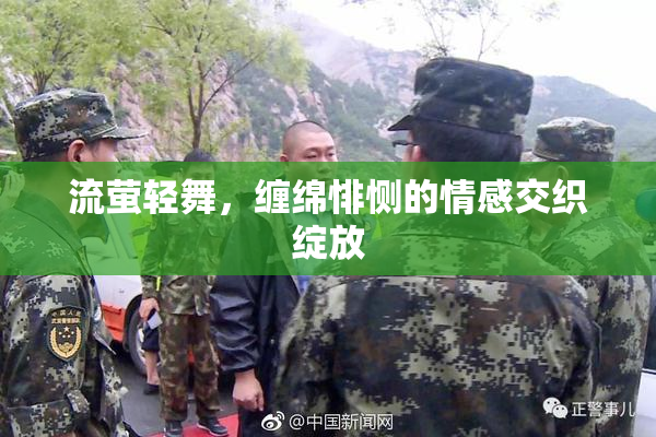 流萤轻舞，缠绵悱恻的情感交织绽放