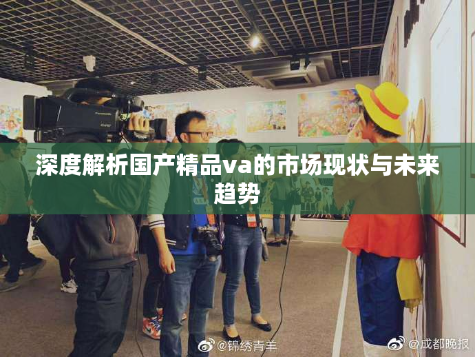 深度解析国产精品va的市场现状与未来趋势