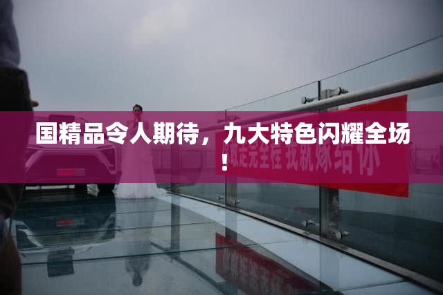 国精品令人期待，九大特色闪耀全场！