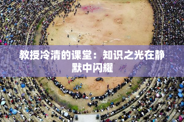 教授冷清的课堂：知识之光在静默中闪耀