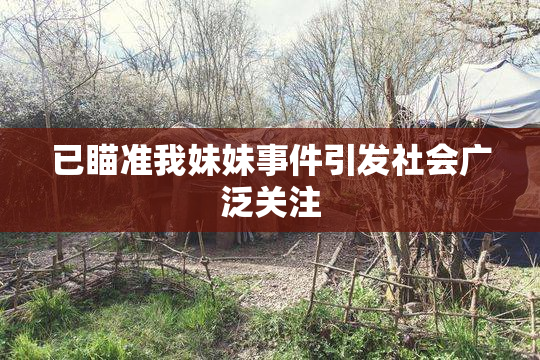已瞄准我妹妹事件引发社会广泛关注