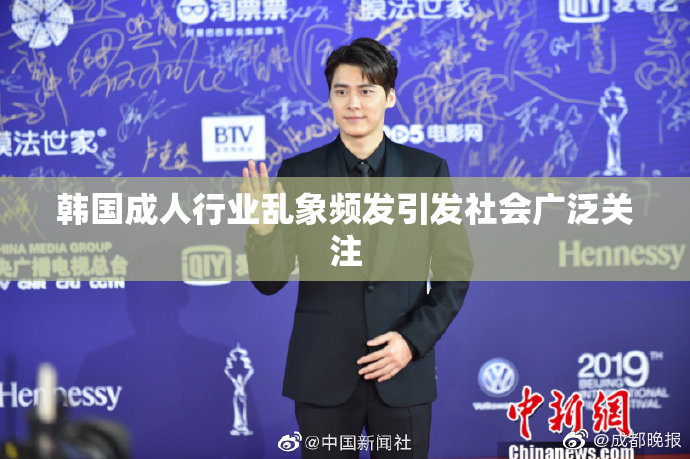 韩国成人行业乱象频发引发社会广泛关注