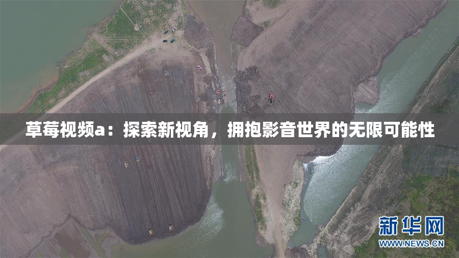 草莓视频a：探索新视角，拥抱影音世界的无限可能性
