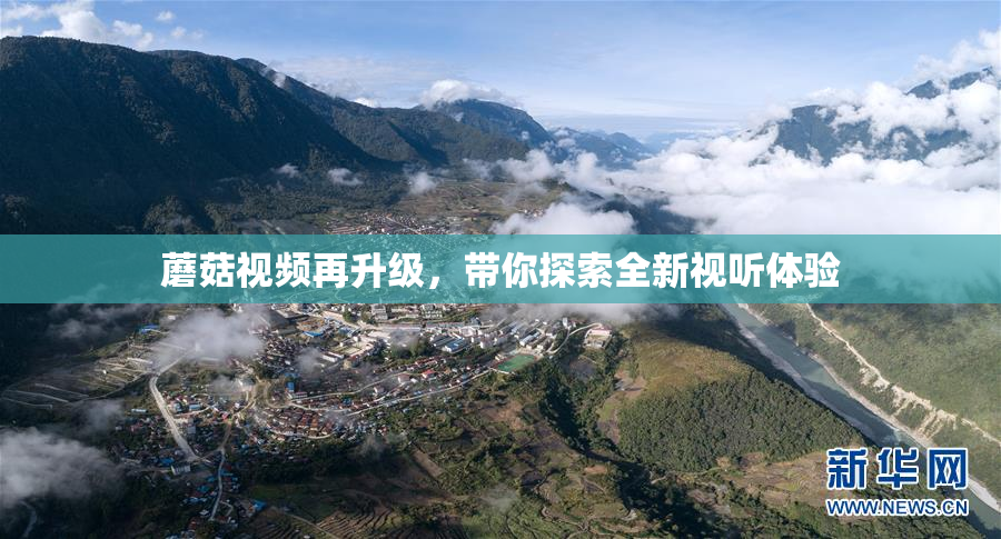 蘑菇视频再升级，带你探索全新视听体验