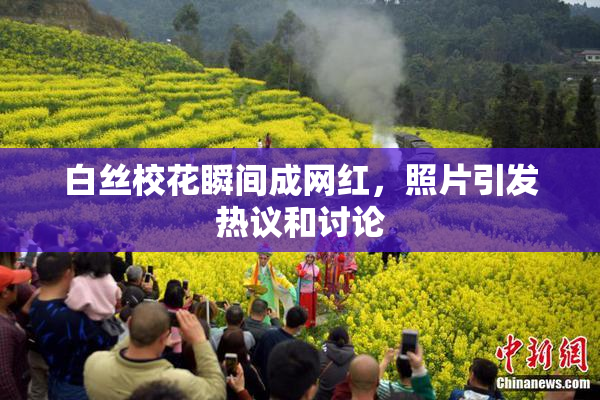 白丝校花瞬间成网红，照片引发热议和讨论
