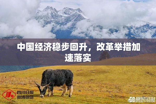 中国经济稳步回升，改革举措加速落实