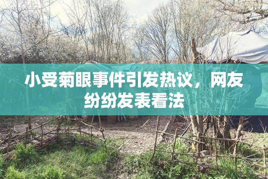 小受菊眼事件引发热议，网友纷纷发表看法