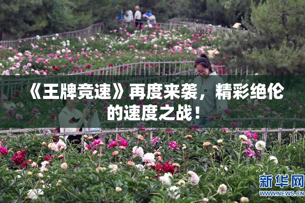 《王牌竞速》再度来袭，精彩绝伦的速度之战！