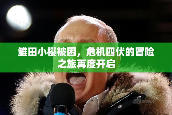 雏田小樱被困，危机四伏的冒险之旅再度开启