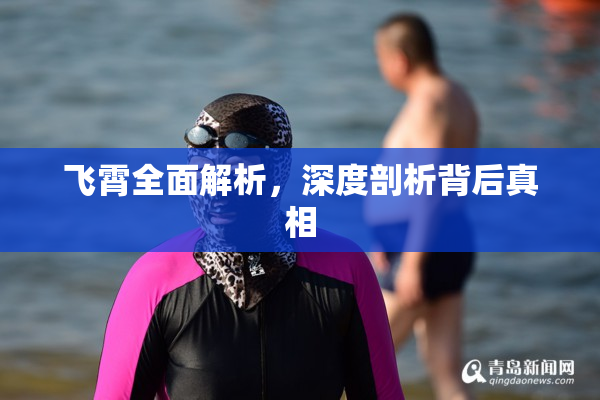 飞霄全面解析，深度剖析背后真相
