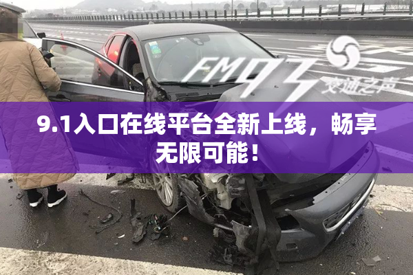 9.1入口在线平台全新上线，畅享无限可能！