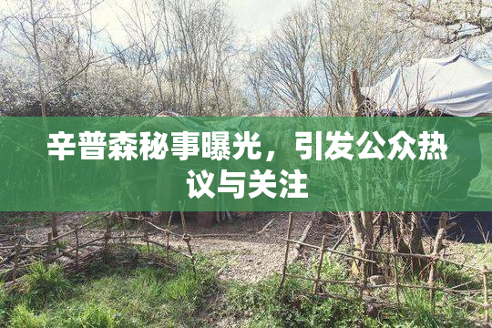 辛普森秘事曝光，引发公众热议与关注