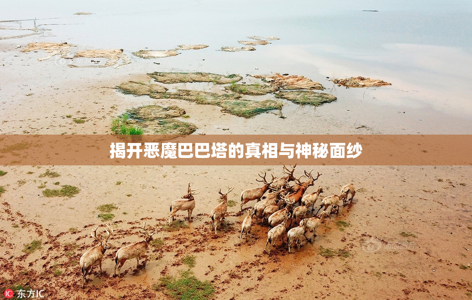 揭开恶魔巴巴塔的真相与神秘面纱