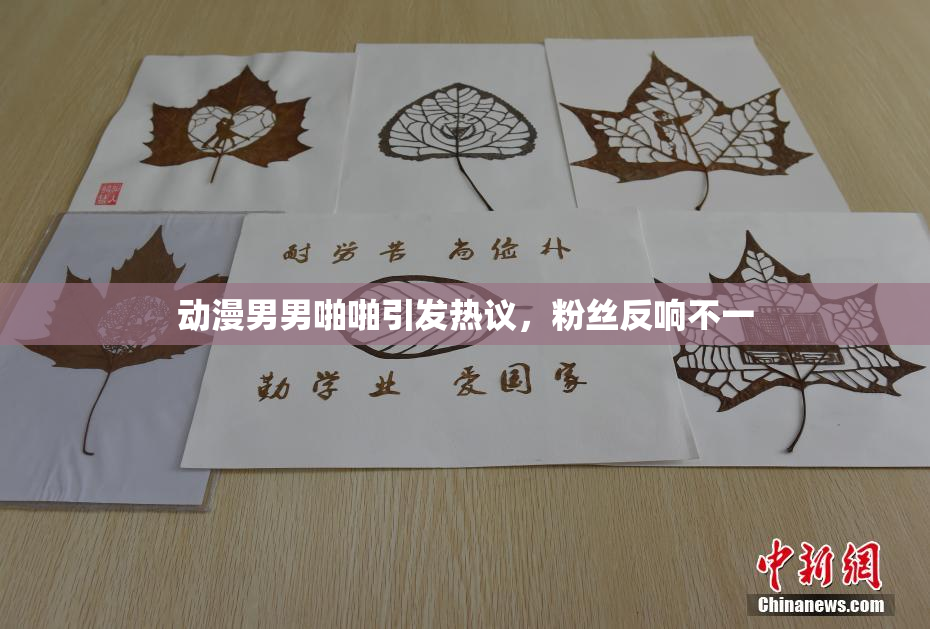 动漫男男啪啪引发热议，粉丝反响不一