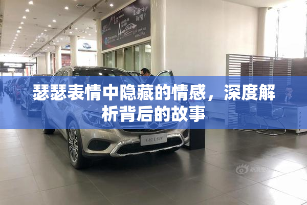 瑟瑟表情中隐藏的情感，深度解析背后的故事