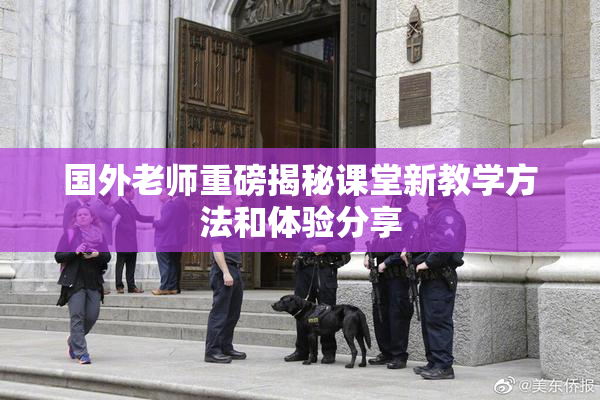国外老师重磅揭秘课堂新教学方法和体验分享