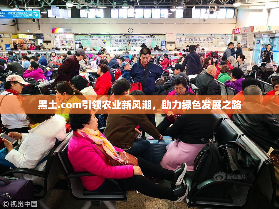 黑土.com引领农业新风潮，助力绿色发展之路