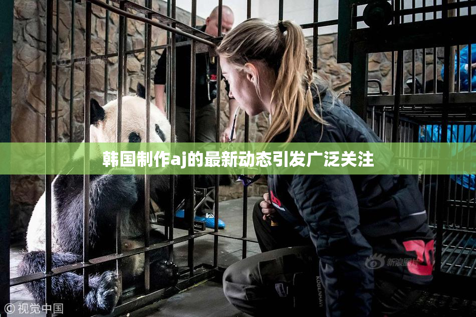 韩国制作aj的最新动态引发广泛关注