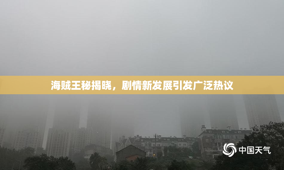 海贼王秘揭晓，剧情新发展引发广泛热议